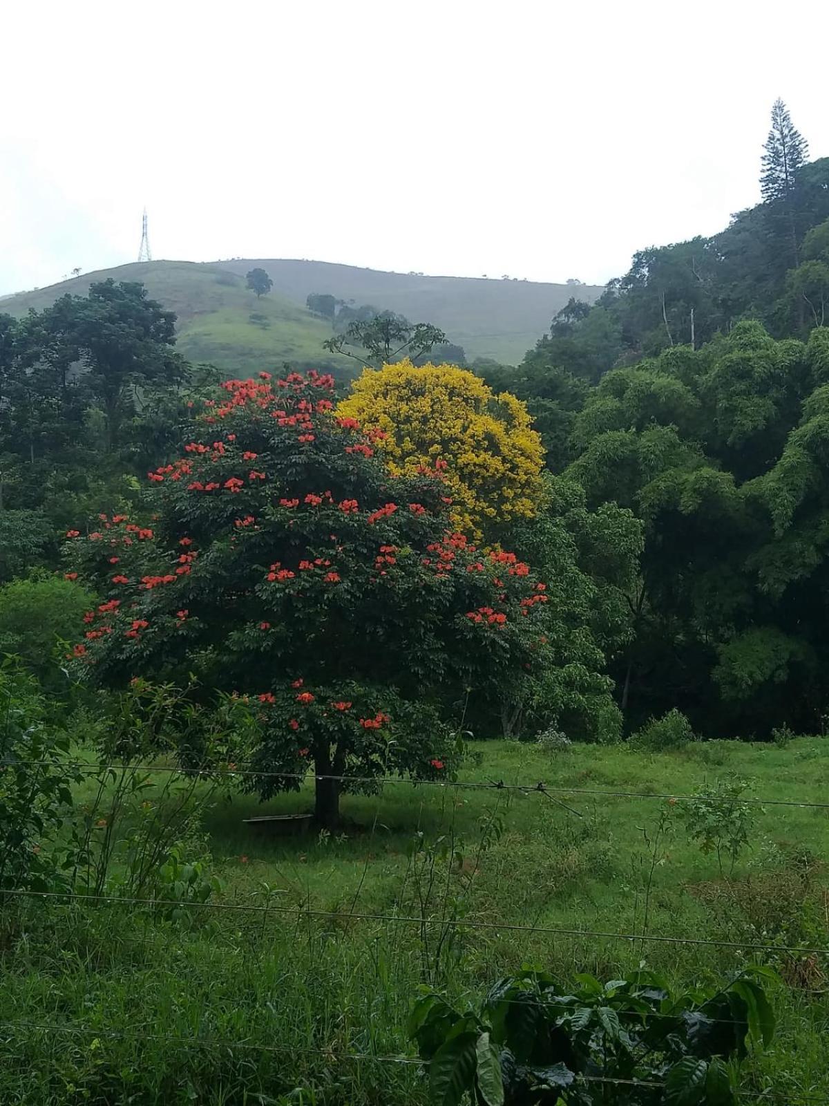 Villa Fazenda Piloes à Petrópolis Extérieur photo